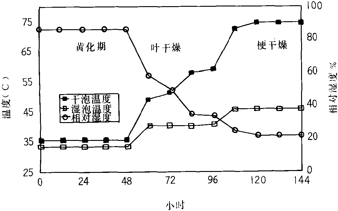 12. The Flue-Curing Process